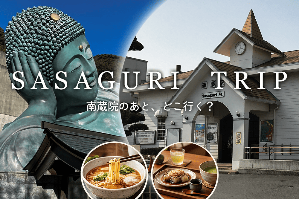 南蔵院のあと、どこいく？